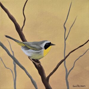 Yellow Warbler, Right