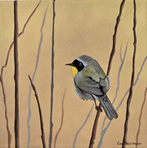Yellow Warbler, Left