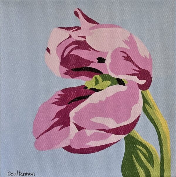 Tulip