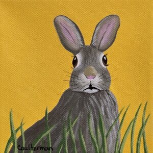 262 Bunny